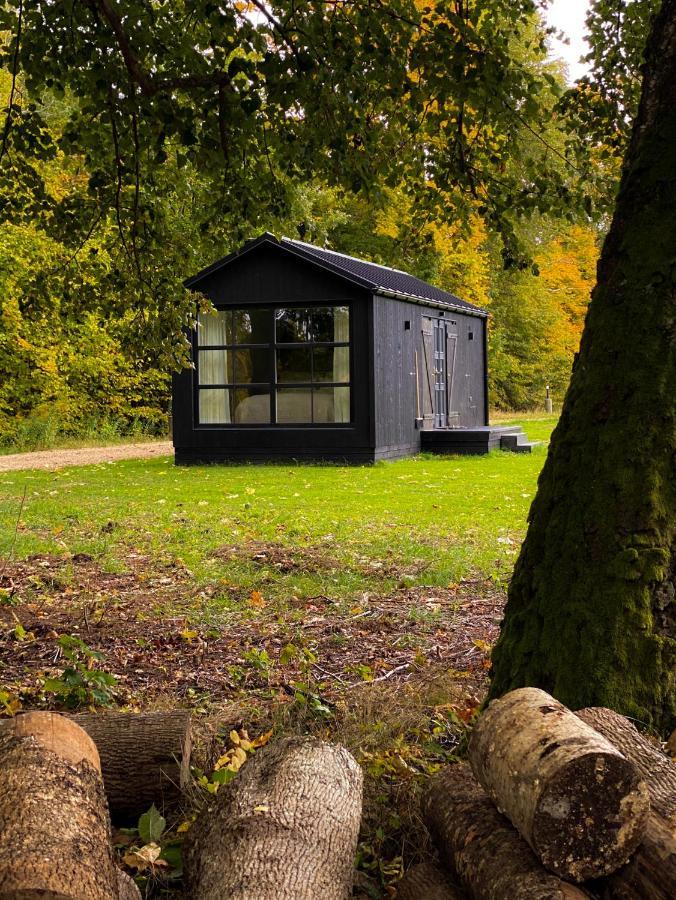 Ragnar Glamp Koknese Villa Exterior photo
